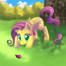 Size: 2222x2222 | Tagged: safe, artist:jacky-bunny, fluttershy, ladybug, pegasus, pony, g4, dappled sunlight, female, grass, high res, mare, solo, tree