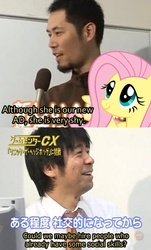 Size: 656x1089 | Tagged: safe, fluttershy, human, pegasus, pony, g4, crossover, female, game center cx, human male, male, mare