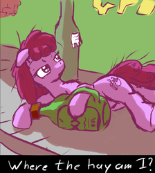 Size: 1024x1142 | Tagged: safe, artist:snus-kun, berry punch, berryshine, earth pony, pony, g4, alcohol, bottle, female, floppy ears, mare, messy mane, on side, sidewalk, solo