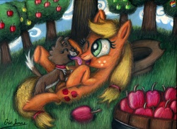 Size: 4679x3400 | Tagged: safe, artist:etjonas, applejack, winona, earth pony, pony, g4, apple, female, grass, licking, mare, on back, one eye closed, orchard, tongue out