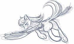Size: 1000x597 | Tagged: safe, artist:buttercupsaiyan, oc, oc only, pegasus, pony, female, mare, monochrome, sketch, solo, spread wings, wings