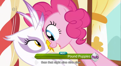 Size: 855x470 | Tagged: safe, screencap, gilda, pinkie pie, earth pony, griffon, pony, g4, griffon the brush off, season 1, duo, duo female, ei, eye contact, female, hub logo, looking at each other, mare, meme, youtube caption