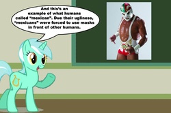Size: 887x588 | Tagged: safe, lyra heartstrings, pony, unicorn, g4, chalkboard, dr wagner, female, human studies101 with lyra, lucha libre, mare, meme, photo