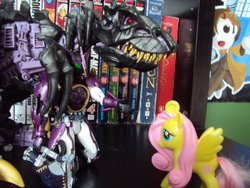 Size: 900x675 | Tagged: safe, fluttershy, g4, female, irl, kamen rider, kamen rider ooo, photo, toy