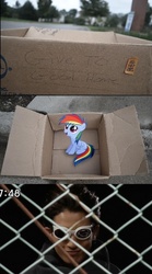 Size: 832x1492 | Tagged: safe, rainbow dash, pegasus, pony, fanfic:my little dashie, g4, box, dashie meme, enter, evil people finding dash meme, exploitable meme, female, filly, go-busters, meme, pony in a box, sitting, super sentai