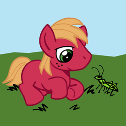 Size: 945x945 | Tagged: safe, artist:megasweet, big macintosh, earth pony, pony, g4, colt, colt big macintosh, foal, grasshopper, male, prone, solo, younger
