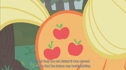 Size: 855x472 | Tagged: safe, edit, edited screencap, screencap, applejack, earth pony, pony, call of the cutie, g4, caption, female, mare, solo, youtube caption