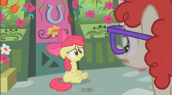 Size: 854x471 | Tagged: safe, edit, edited screencap, screencap, apple bloom, twist, earth pony, pony, call of the cutie, g4, season 1, caption, duo, duo female, female, filly, homie, sitting, youtube caption