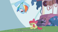 Size: 852x474 | Tagged: safe, edit, edited screencap, screencap, apple bloom, rainbow dash, earth pony, pegasus, pony, call of the cutie, g4, caption, duo, duo female, female, filly, mare, youtube caption