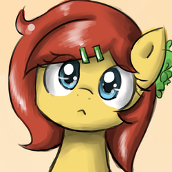 Size: 900x900 | Tagged: safe, artist:sirachanotsauce, oc, oc only, oc:sirachi, earth pony, pony, :<, bust, cute, female, hairclip, looking at you, mare, portrait, solo