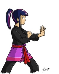 Size: 656x824 | Tagged: safe, artist:netcyber, twilight sparkle, human, g4, clothes, female, humanized, martial arts, my little asskicker, pants, red belt, robe, sarong, serious, serious face, silat, simple background, solo, white background