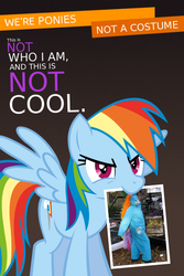 Size: 600x899 | Tagged: safe, artist:wolfjedisamuel, rainbow dash, human, pegasus, pony, g4, costume, female, fursuit, irl, irl human, mare, meme, meta, mouth hold, not cool, parody, photo, public service announcement, social justice warrior, we're a culture not a costume