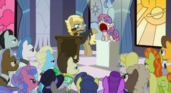 Size: 637x346 | Tagged: safe, edit, edited screencap, screencap, sweetie belle, earth pony, pony, unicorn, g4, season 2, sweet and elite, auction, bidding, crowd, female, gavel, male, mare, mouth hold, stallion, sweetie derelle