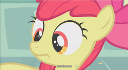 Size: 855x472 | Tagged: safe, edit, edited screencap, screencap, apple bloom, earth pony, pony, call of the cutie, g4, my little pony: friendship is magic, caption, female, filly, frown, solo, youtube caption