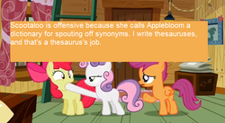 Size: 640x350 | Tagged: safe, edit, edited screencap, screencap, apple bloom, scootaloo, sweetie belle, earth pony, pegasus, pony, unicorn, offensive ponies, family appreciation day, g4, cutie mark crusaders, dictionary, female, filly, meta, text, thesaurus