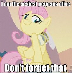 Size: 475x483 | Tagged: safe, edit, edited screencap, screencap, fluttershy, pegasus, pony, g4, hurricane fluttershy, female, goggles, image macro, mare, sexiest pony alive, solo, text