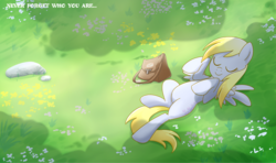 Size: 1500x885 | Tagged: safe, artist:madmax, derpy hooves, pegasus, pony, g4, bag, cute, derpabetes, eyes closed, female, flower, grass, lying down, mail, mailbag, mare, on back, outdoors, sleeping, smiling, solo