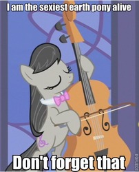 Size: 390x482 | Tagged: safe, edit, edited screencap, screencap, octavia melody, earth pony, pony, g4, season 1, the best night ever, cello, eyes closed, female, image macro, mare, meme, musical instrument, reaction image, sexiest pony alive, solo