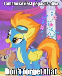Size: 390x480 | Tagged: safe, edit, edited screencap, screencap, spitfire, pegasus, pony, g4, the best night ever, clothes, cropped, female, goggles, image macro, mare, sexiest pony alive, solo focus, uniform, wonderbolts uniform