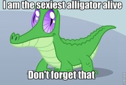 Size: 520x350 | Tagged: safe, edit, edited screencap, screencap, gummy, alligator, reptile, g4, image macro, male, meme, sexiest pony alive, solo