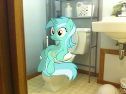 Size: 900x672 | Tagged: safe, artist:flarechaser, lyra heartstrings, pony, unicorn, g4, but why, female, irl, mare, meme, photo, ponies in real life, shitting lyra, sitting, sitting lyra, solo, toilet, vector