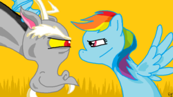 Size: 887x496 | Tagged: safe, artist:sir-croco, discord, rainbow dash, draconequus, pegasus, pony, g4, eye contact, female, looking at each other, male, mare, staring contest