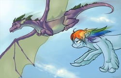 Size: 1000x647 | Tagged: safe, artist:rolfedol, rainbow dash, spike, dragon, pegasus, pony, g4, adult, adult spike, duo, female, flying, male, mare, older, older spike, sky, smiling, smirk, spread wings, wings