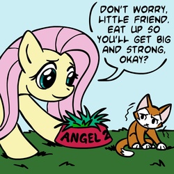 Size: 945x945 | Tagged: source needed, safe, artist:megasweet, fluttershy, cat, pegasus, pony, g4, animal abuse, colored, dialogue, female, fridge horror, grass, implied death, mare, pet bowl, the implications are horrible, we are going to hell