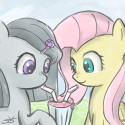 Size: 900x900 | Tagged: safe, artist:speccysy, fluttershy, marble pie, earth pony, pegasus, pony, g4, female, hairclip, lesbian, mare, milkshake, sharing a drink, ship:marbleshy, shipping, straw