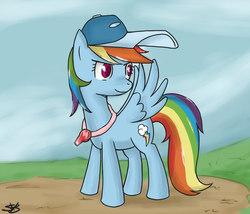 Size: 900x771 | Tagged: dead source, safe, artist:speccysy, rainbow dash, pegasus, pony, g4, baseball cap, cap, female, hat, mare, solo, whistle, whistle necklace