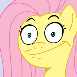 Size: 945x945 | Tagged: safe, artist:megasweet, fluttershy, pegasus, pony, g4, close-up, faic, female, mare, solo, wide eyes