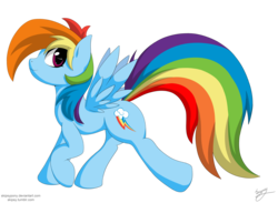 Size: 2500x1833 | Tagged: safe, artist:skipsy, rainbow dash, pegasus, pony, g4, female, looking at you, mare, signature, simple background, solo, spread wings, transparent background, walking, wings