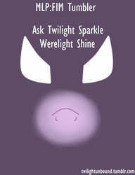 Size: 500x650 | Tagged: safe, artist:theshadowdude1031, twilight sparkle, twilight unbound, g4, poster, werelight shine