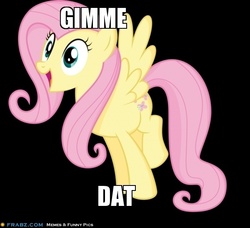 Size: 600x547 | Tagged: safe, fluttershy, pegasus, pony, g4, black background, caption, cute, eyes on the prize, female, gimme, happy, image macro, mare, raised leg, shyabetes, simple background, smiling, solo, spread wings, text, want, wide eyes, wings