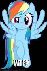 Size: 409x616 | Tagged: safe, rainbow dash, pegasus, pony, g4, black background, female, looking at you, mare, raised hoof, simple background, solo, vector