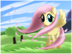 Size: 1092x830 | Tagged: safe, artist:ctb-36, fluttershy, pegasus, pony, g4, female, grass, mare, smiling, solo, windswept mane