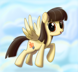 Size: 905x830 | Tagged: safe, artist:ctb-36, wild fire, pegasus, pony, g4, female, flying, looking at you, mare, raised hoof, sibsy, sky, solo