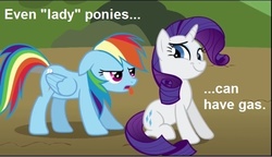 Size: 632x364 | Tagged: safe, edit, edited screencap, screencap, rainbow dash, rarity, pegasus, pony, unicorn, g4, season 1, swarm of the century, duo, duo female, female, image macro, implied farting, mare, text, tongue out