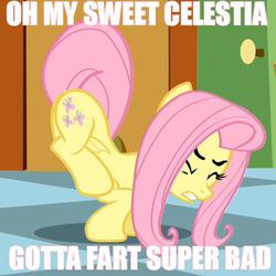 Size: 455x455 | Tagged: safe, edit, edited screencap, screencap, fluttershy, pegasus, pony, g4, green isn't your color, season 1, caption, checkered floor, eyes closed, fart joke, female, folded wings, frown, gritted teeth, image macro, imminent fart, mare, need to fart, on front legs, pink hair, pink mane, pink tail, solo, tail, tail aside, text, wings, yellow body, yellow coat, yellow fur, yellow pony, yellow wings