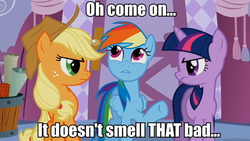 Size: 858x484 | Tagged: safe, edit, edited screencap, screencap, applejack, rainbow dash, twilight sparkle, earth pony, pegasus, pony, unicorn, g4, caption, carousel boutique, female, glare, image macro, implied farting, mare, raised hoof