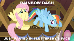 Size: 1024x576 | Tagged: safe, edit, edited screencap, screencap, fluttershy, rainbow dash, pegasus, pony, g4, balloon, barn, caption, duo, duo female, face fart, female, flying, image macro, implied farting, mare