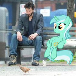 Size: 300x300 | Tagged: safe, artist:transfuse, lyra heartstrings, human, pony, unicorn, g4, bench, duo, female, irl, irl human, keanu reeves, male, mare, meme, photo, ponies in real life, sad keanu, sitting, sitting lyra, vector