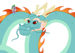 Size: 900x632 | Tagged: safe, artist:queencold, spike, chinese dragon, dragon, eastern dragon, g4, chinese, dragons riding dragons, duo, duo male, male, riding, simple background, smiling, transparent background, wingless spike