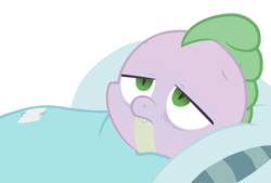 Size: 900x607 | Tagged: safe, artist:queencold, spike, dragon, g4, bed, blanket, male, on back, pillow, sick, simple background, solo, transparent background, vector