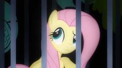 Size: 640x360 | Tagged: safe, screencap, fluttershy, pegasus, pony, a bird in the hoof, g4, season 1, female, mare, prison, solo