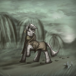 Size: 1024x1020 | Tagged: safe, artist:slawomiro, zecora, pony, zebra, g4, cloak, clothes, female, hoofprints, mare, raised hoof, solo