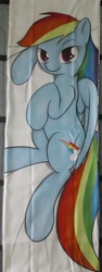 Size: 541x1440 | Tagged: safe, artist:theparagon, rainbow dash, pegasus, pony, g4, body pillow, body pillow design, female, irl, looking at you, lying down, mare, merchandise, on side, photo, sheet, solo