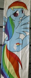 Size: 578x1440 | Tagged: safe, artist:theparagon, rainbow dash, pegasus, pony, g4, body pillow, body pillow design, female, floppy ears, gritted teeth, irl, looking back, mare, merchandise, photo, prone, solo, spread wings, worried