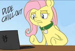 Size: 558x375 | Tagged: safe, artist:cartoonlion, fluttershy, oc, oc:futashy, pegasus, pony, futaverse, g4, collar, computer, intersex, lidded eyes, pet tag, reaction image, solo