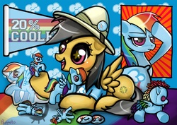 Size: 1754x1240 | Tagged: safe, artist:poppeto, daring do, rainbow dash, g4, 20% cooler, action figure, alternate universe, button, cute, fangirl, female, merchandise, pillow, plushie, role reversal, starry eyes, wingding eyes